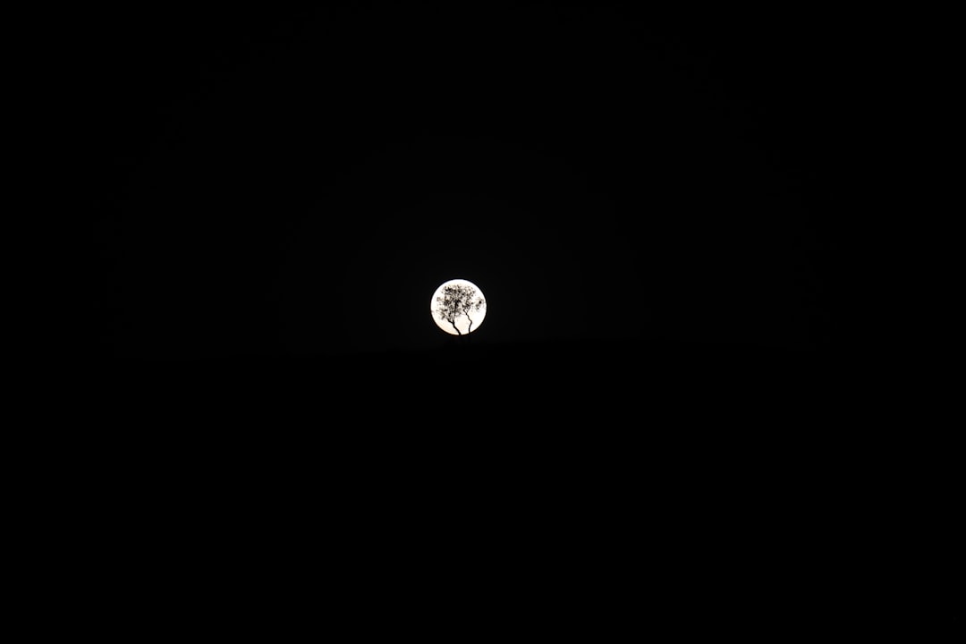 a full moon is seen in the dark sky