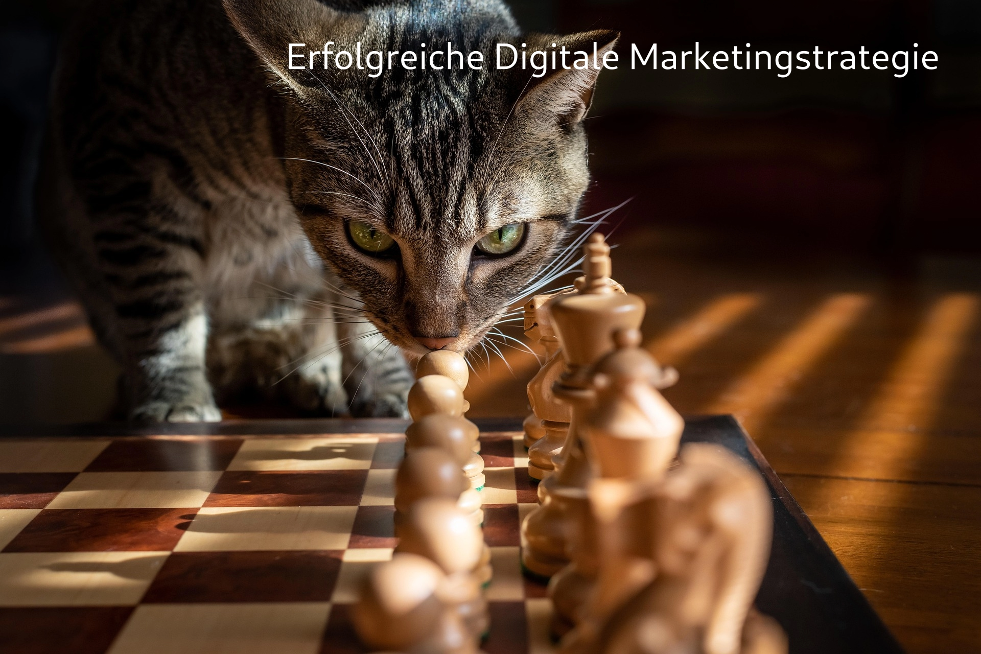 Erfolgreiche Digitale Marketingstrategie